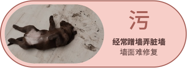 bevictor伟德官网-韦德官方网站